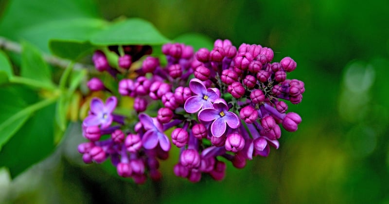 Farbe Koralle: So kombinierst du den Trendton perfekt