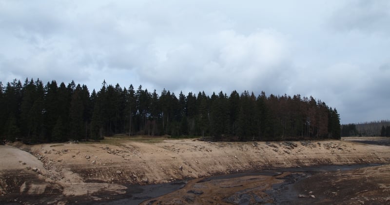Oderteich im Harz: Der älteste Stausee Deutschlands