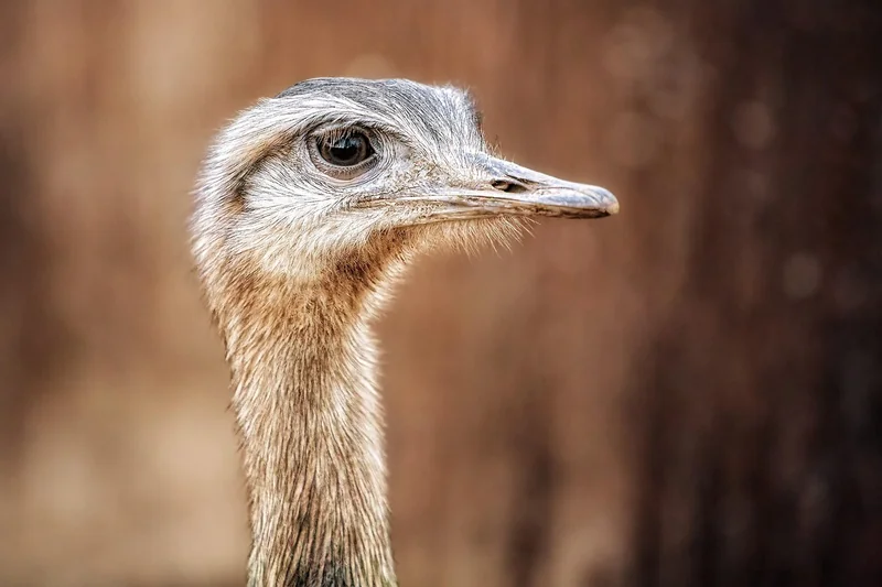 Wer ist Rhea – die Mutter des Zeus?