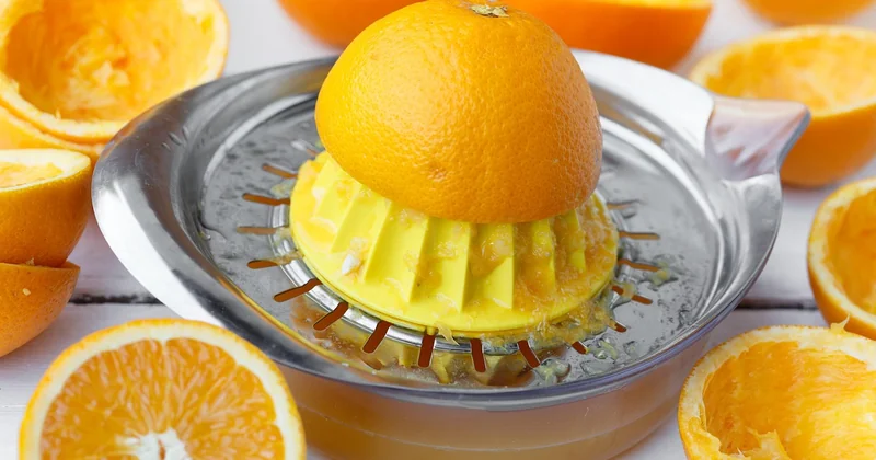 Schlussfolgerungen und Handlungsempfehlungen