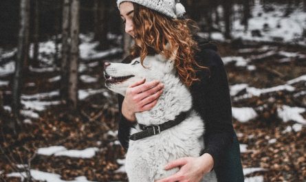 entdecken sie erstklassige pflegeprodukte und dienstleistungen für ihre haustiere. unser ziel ist es, das wohlbefinden ihrer geliebten tiere zu fördern und ihre bedürfnisse zu erfüllen.