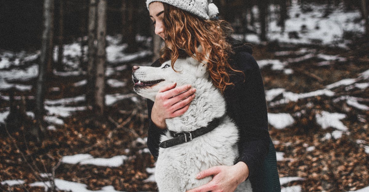 entdecken sie erstklassige pflegeprodukte und dienstleistungen für ihre haustiere. unser ziel ist es, das wohlbefinden ihrer geliebten tiere zu fördern und ihre bedürfnisse zu erfüllen.