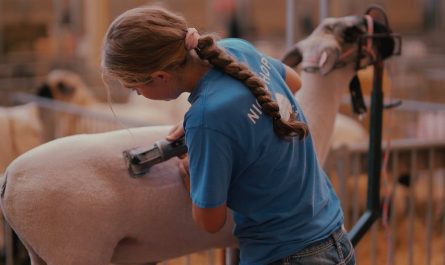 entdecken sie die welt der tierhaltung! erfahren sie alles über nachhaltige praktiken, artgerechte aufzucht und die verschiedenen tierarten in der landwirtschaft. informieren sie sich über die herausforderungen und chancen in der modernen tierhaltung.