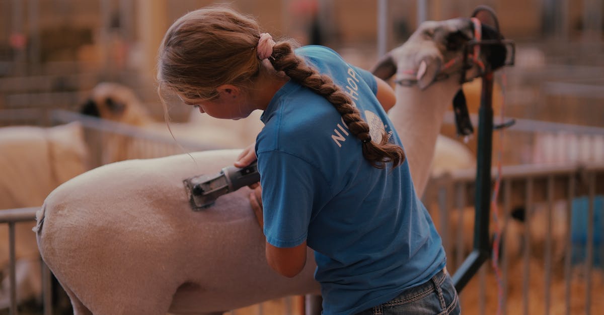 entdecken sie die welt der tierhaltung! erfahren sie alles über nachhaltige praktiken, artgerechte aufzucht und die verschiedenen tierarten in der landwirtschaft. informieren sie sich über die herausforderungen und chancen in der modernen tierhaltung.