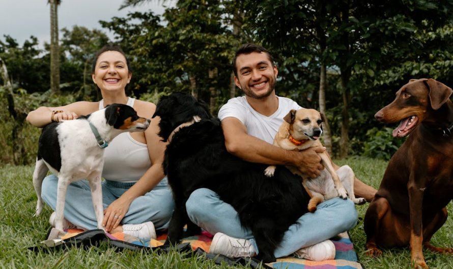 Wie man Tiere richtig pflegt: Ein Leitfaden für Tierbesitzer