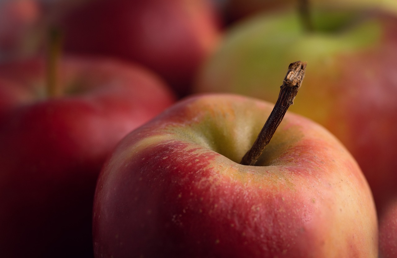 entdecken sie umfassende informationen und tipps zur gesundheit, von ernährung über bewegung bis zu mentaler wellness, um ein gesundes und ausgewogenes leben zu führen.