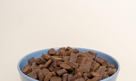 entdecken sie unsere hochwertige hundefutter-auswahl, die auf die ernährungsbedürfnisse ihres hundes abgestimmt ist. gesunde inhaltsstoffe, schmackhafte varianten und optimale nährstoffzufuhr für ein glückliches und aktives hundeleben.