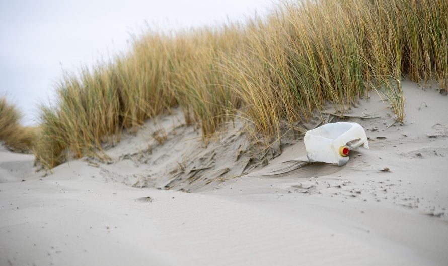 Die Bedeutung von Ambiente in unserem Alltag
