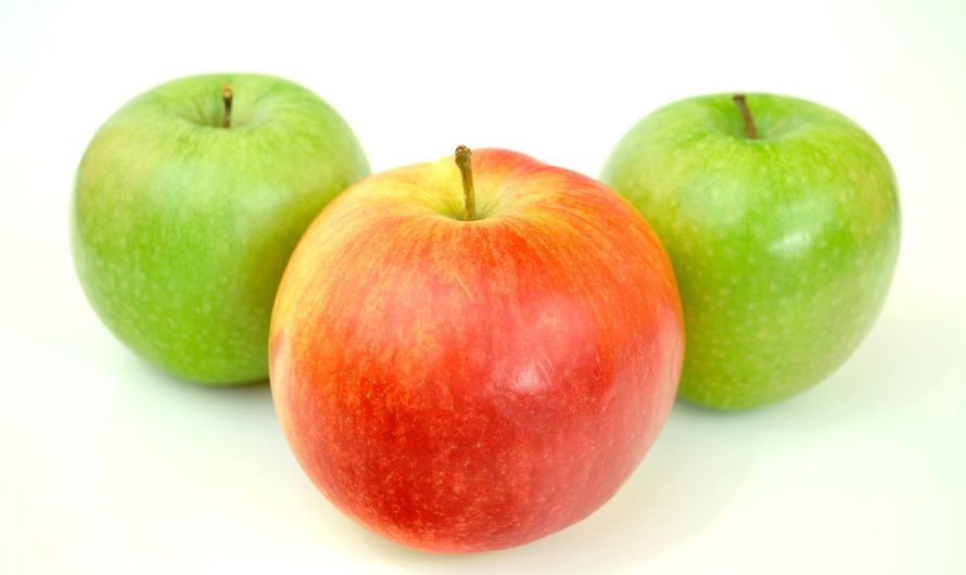 Essen und trinken: gesunde ernährungsgewohnheiten für jeden tag