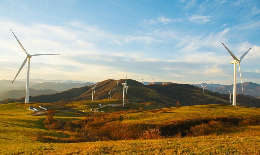 Ethische mode: wie nachhaltige kleidung unsere umwelt beeinflusst