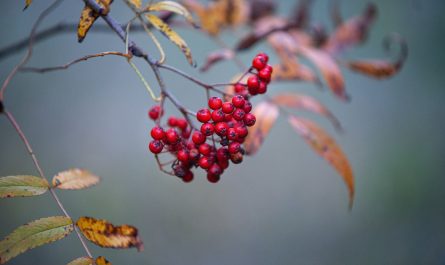 entdecken sie umfassende informationen und tipps zur familiengesundheit, um das wohlbefinden ihrer lieben zu fördern. erfahren sie mehr über gesunde ernährung, körperliche aktivitäten und präventive maßnahmen für die ganze familie.