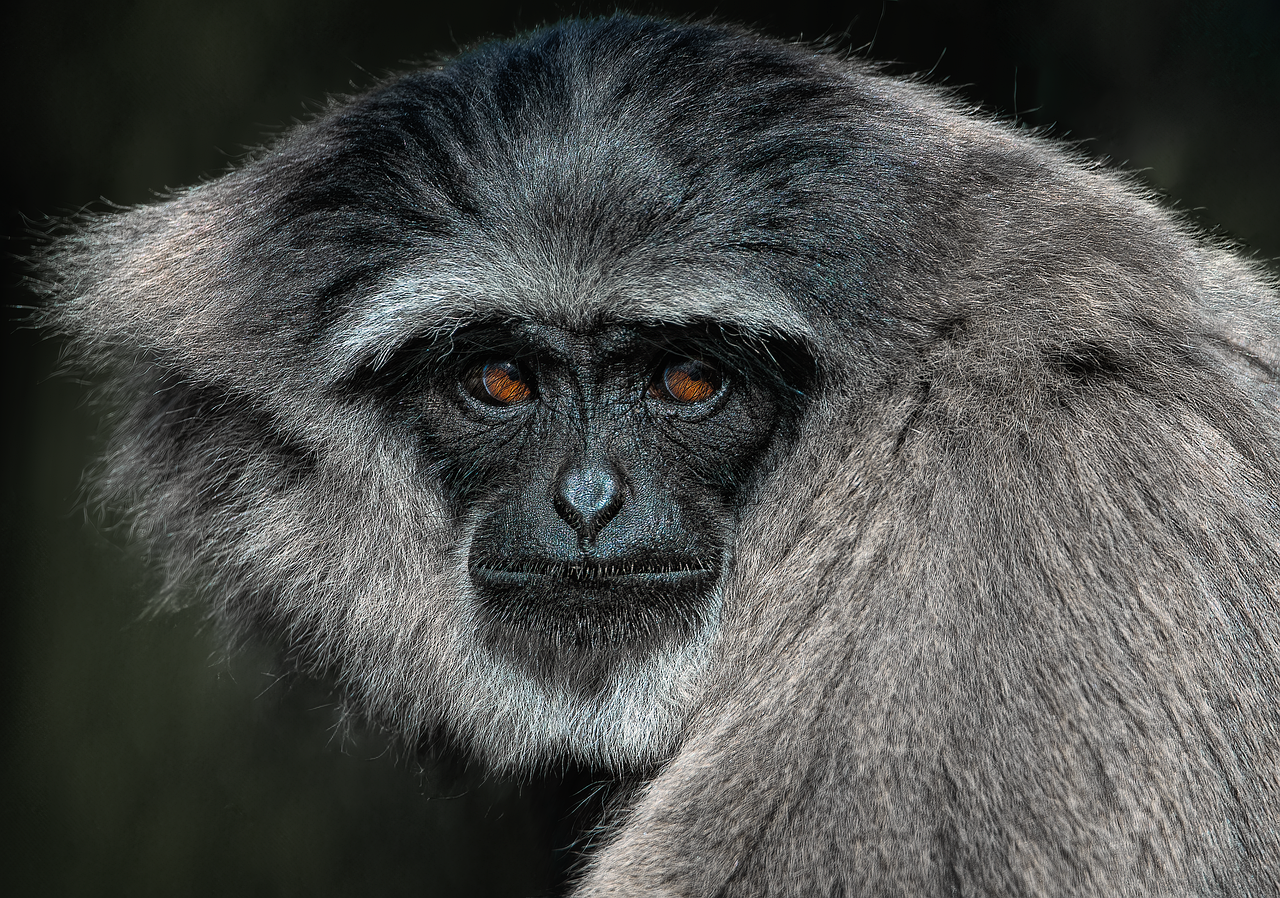 entdecken sie die faszinierende welt des tierverhaltens! erfahren sie mehr über die instinkte, sozialen interaktionen und anpassungsstrategien von tieren in ihren natürlichen lebensräumen.