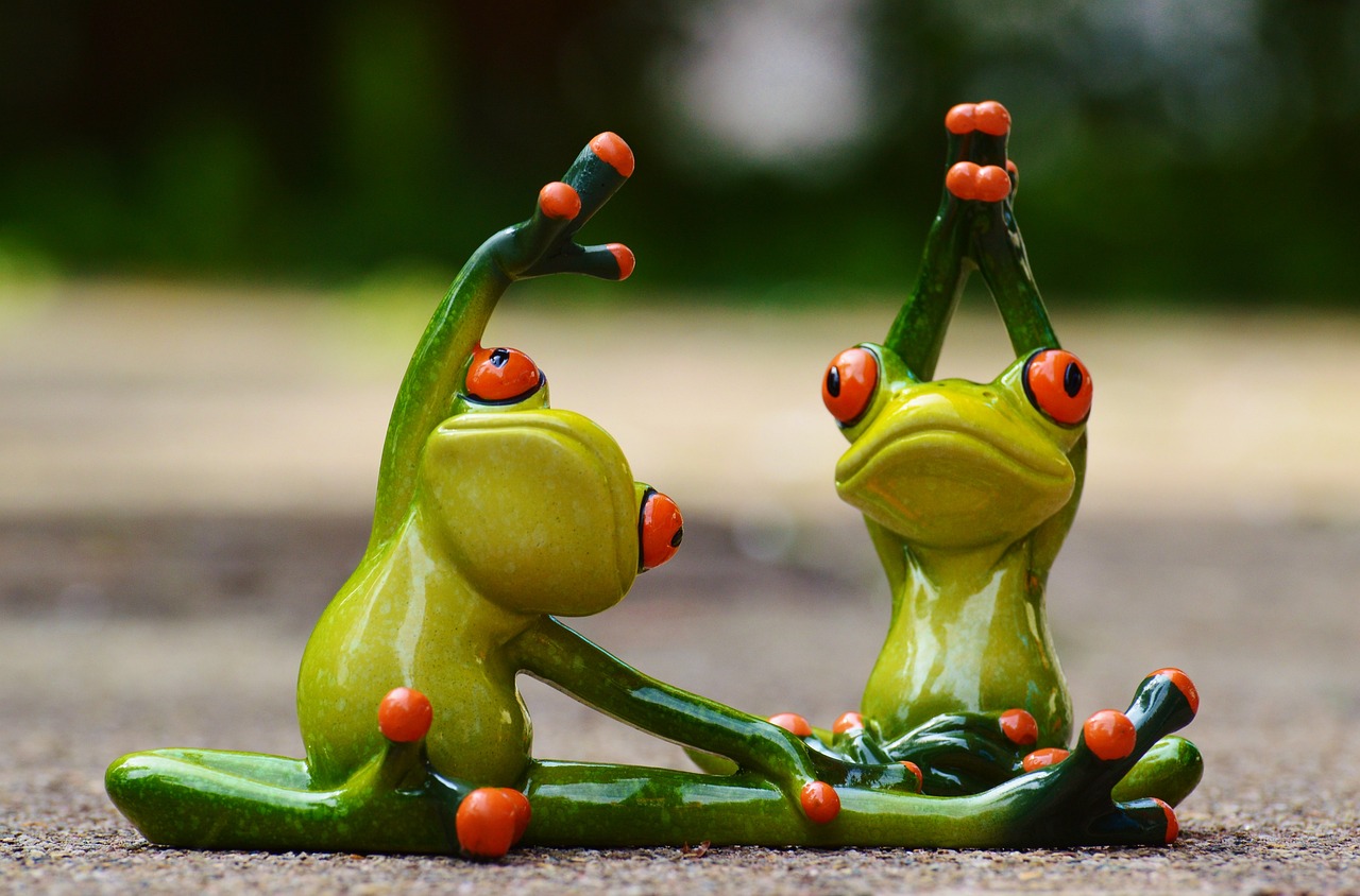 entdecken sie effektives fitness-training für alle leistungsniveaus! verbessern sie ihre kraft, ausdauer und flexibilität mit individuellen trainingsplänen und professioneller anleitung. starten sie noch heute ihre fitnessreise!
