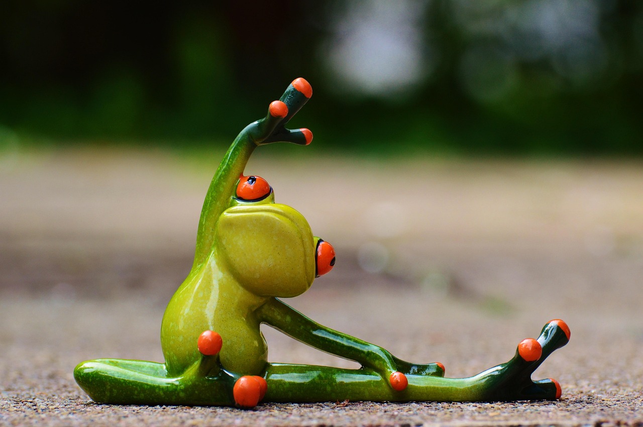 entdecken sie effektives fitness-training für alle leistungsniveaus! verbessern sie ihre gesundheit, steigern sie ihre fitness und erreichen sie ihre ziele mit unseren maßgeschneiderten programmen und professioneller anleitung. beginnen sie noch heute ihre reise zu einem fitteren ich!