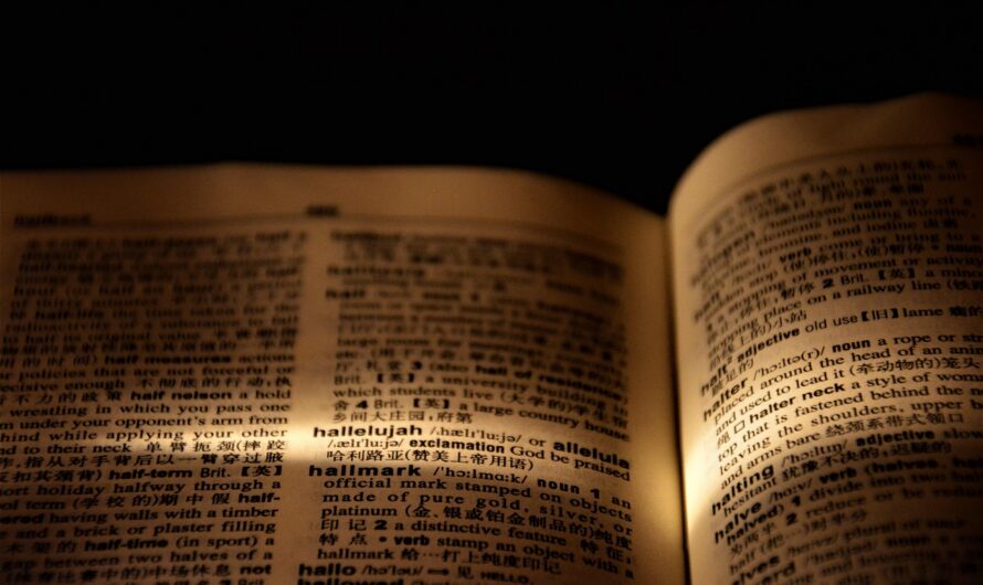 Tierliebe: Die Bedeutung von Haustieren f&uuml;r unsere Gesundheit