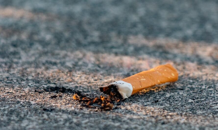 Wie sich unsere Gewohnheiten in den letzten Jahren verändert haben: Einblicke in neue Alltagsmuster