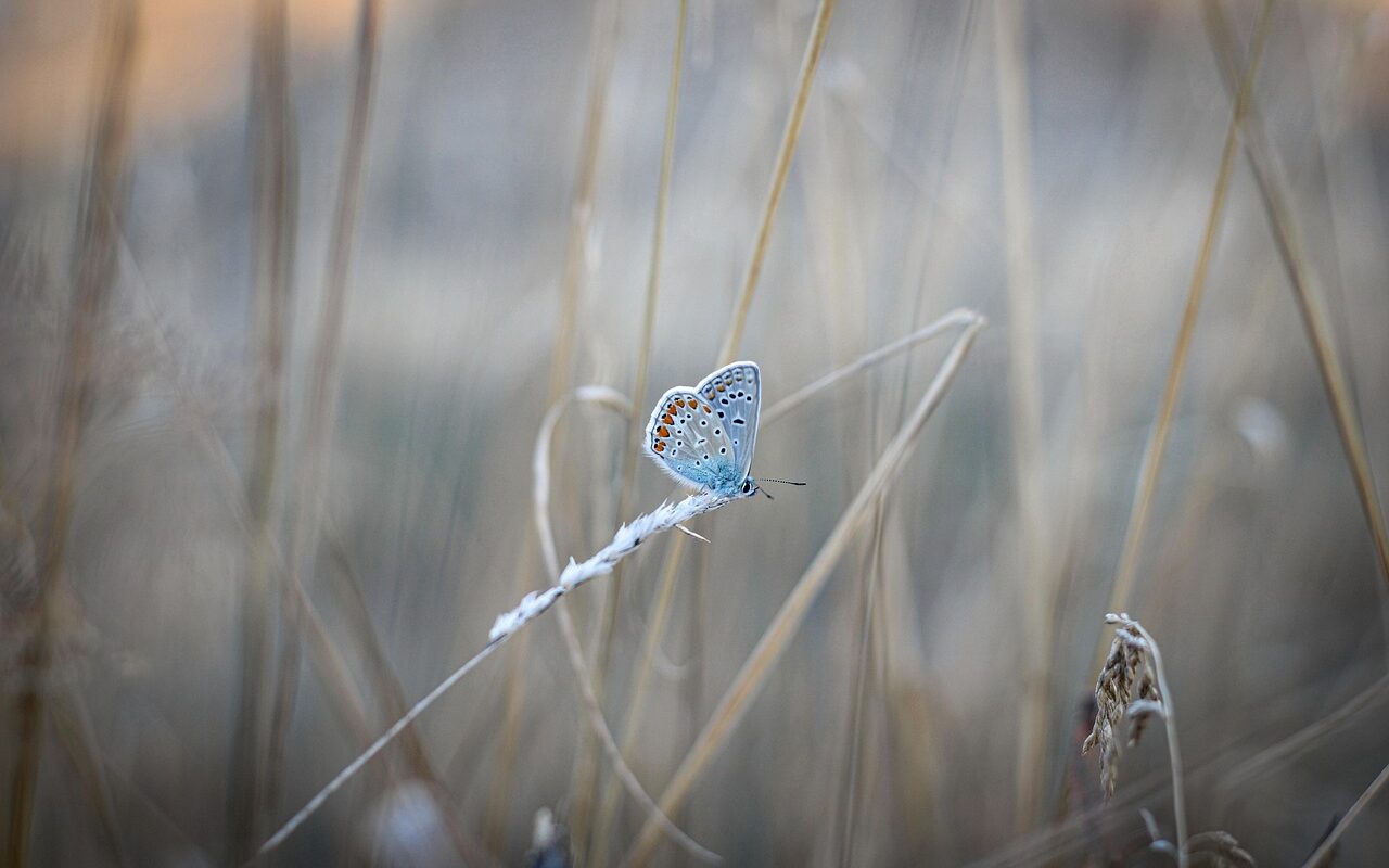 häufige fehler – erfahren sie die typischen fehler und wie sie sie vermeiden können, um ihre fähigkeiten zu verbessern und erfolgreich zu sein.