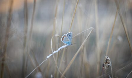 h&auml;ufige fehler &ndash; erfahren sie die typischen fehler und wie sie sie vermeiden k&ouml;nnen, um ihre f&auml;higkeiten zu verbessern und erfolgreich zu sein.
