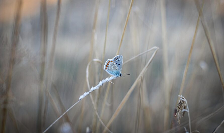 Die häufigsten Fehler im Alltag: So vermeiden Sie typische Stolperfallen im täglichen Leben