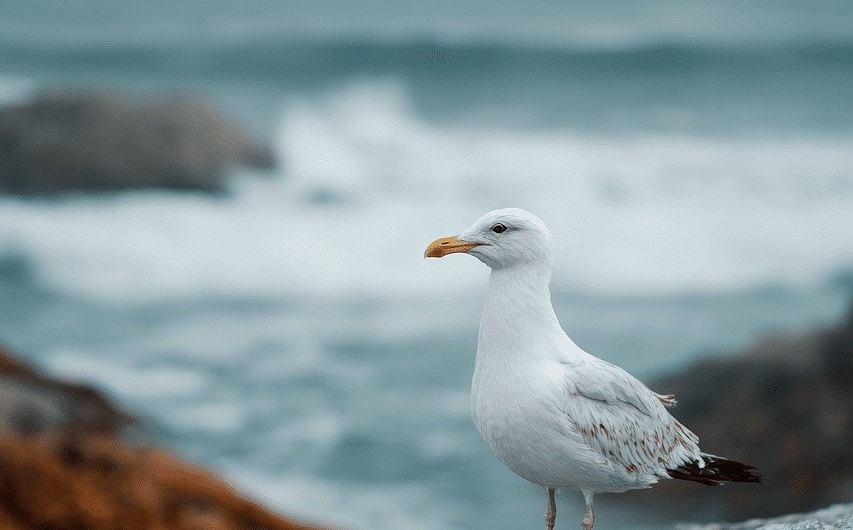 Minimalismus im Wohnbereich: Wie weniger M&ouml;bel den Raum beleben